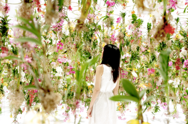 hanging string gardens japan