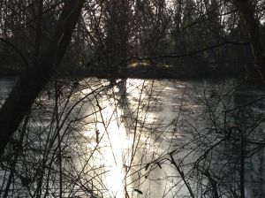 One of the lakes at the Nature Reserve