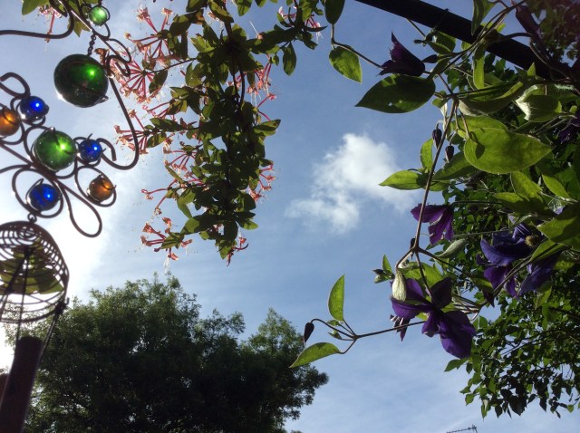 bench sky photomamma