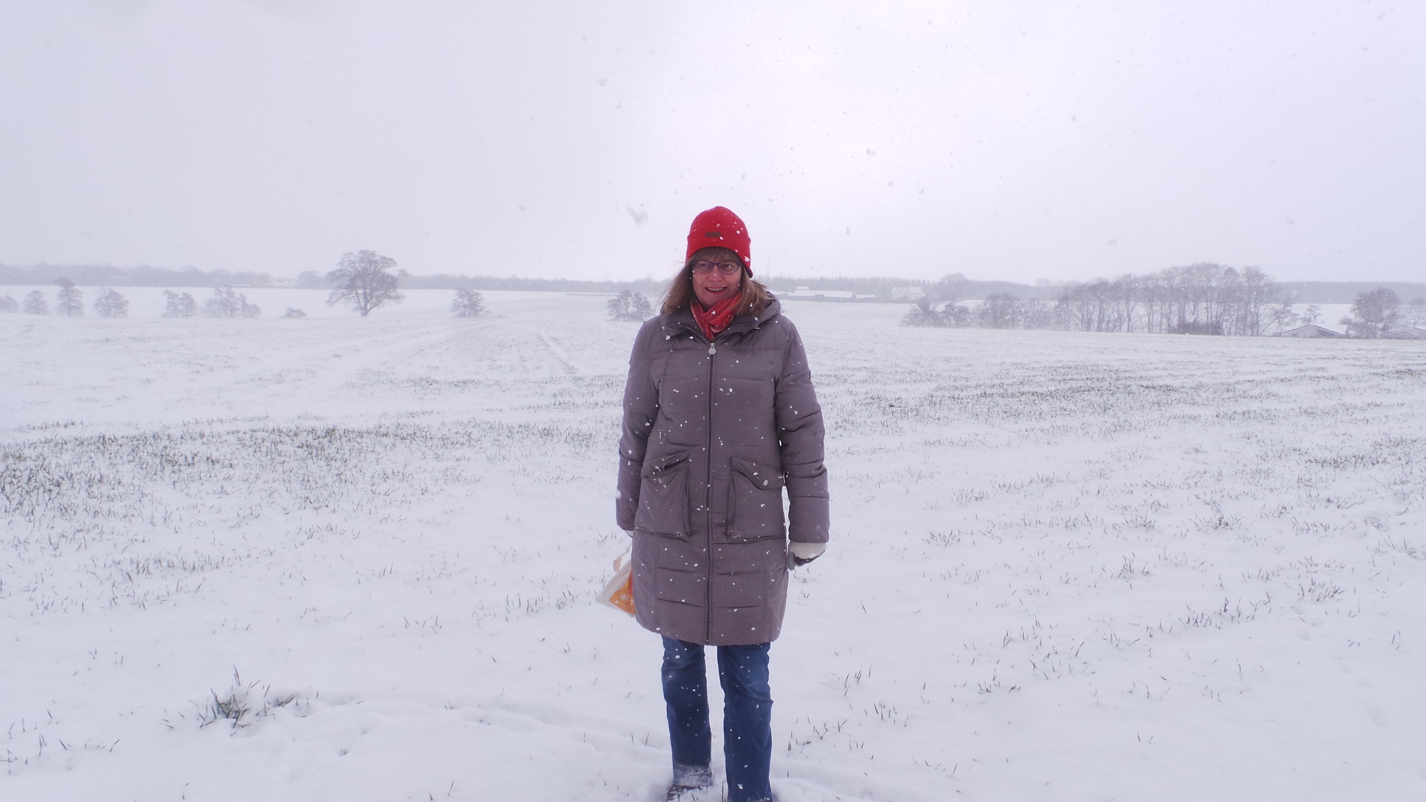 65CCA2E5-3FE3-4266-8EA6-7CECCC4071D6