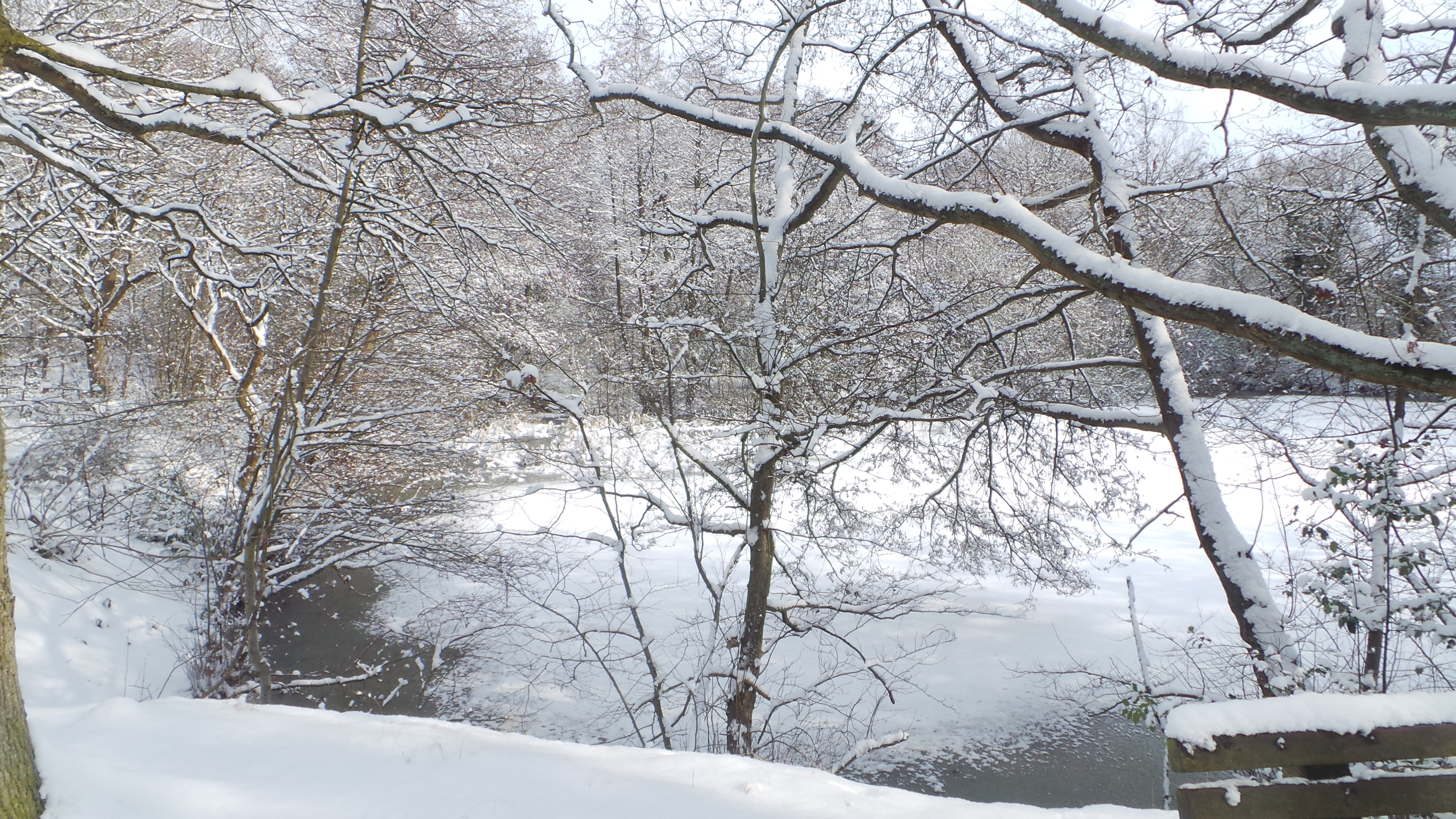 6E6AD345-5F16-4083-8018-8E3F007FC597