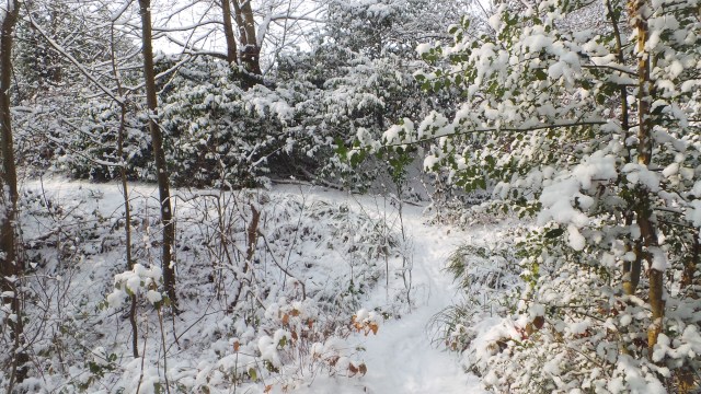 90F2B88A-4438-4F06-ABC7-3BDDC409B316