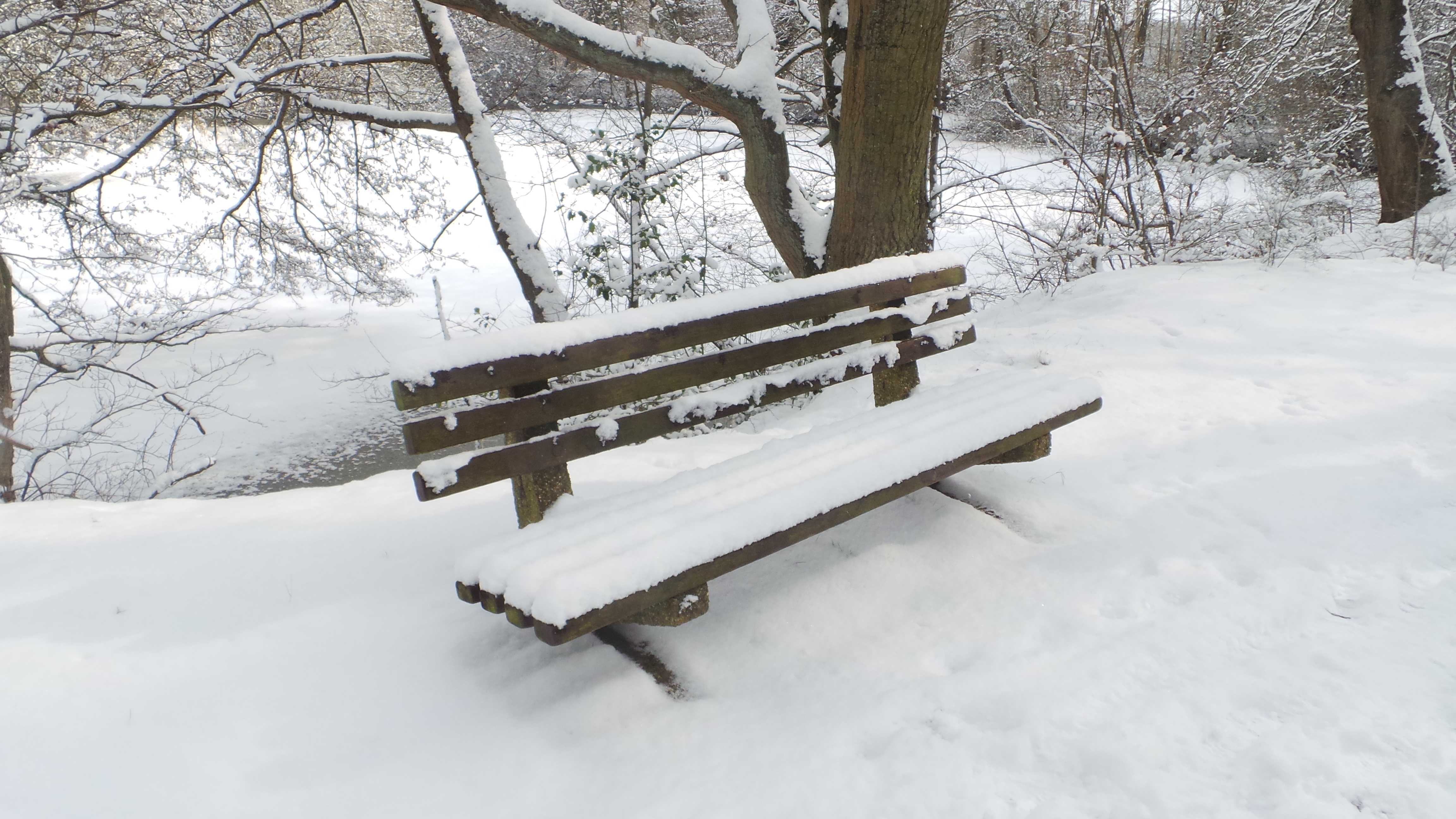 E9274F3D-9CB7-48C9-BFBA-A555C26CE611