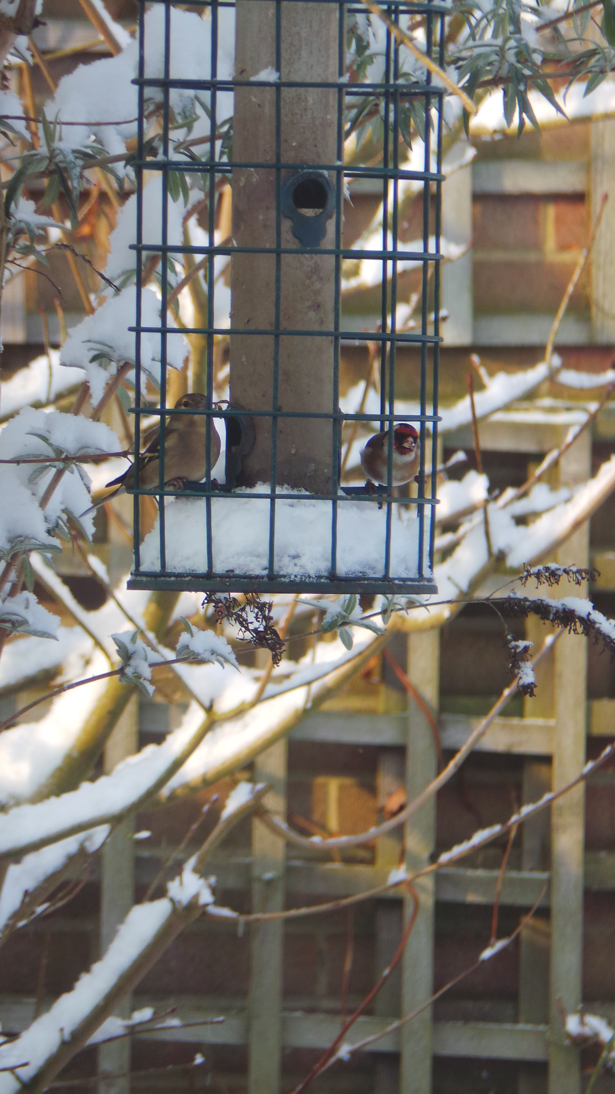 F7F43DC7-FB3F-4430-8371-85BFAF69B5C5