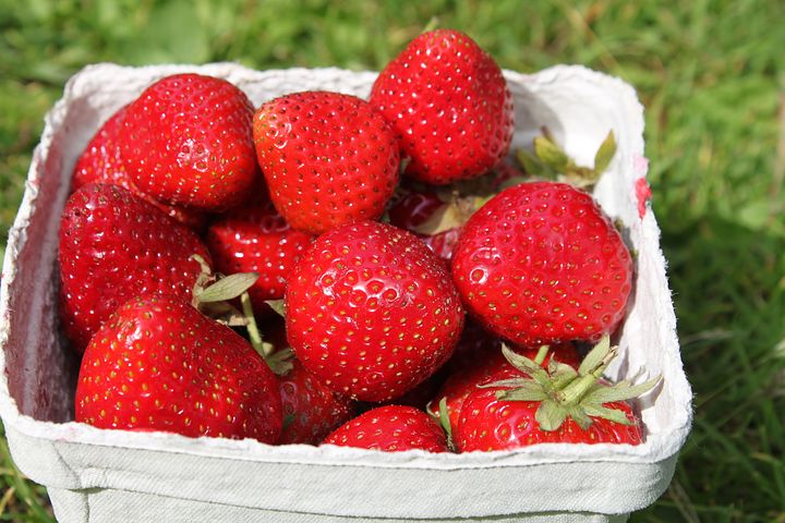 strawberries-2270463__480