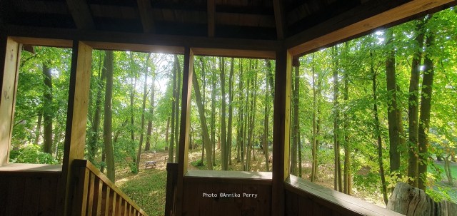 This image has an empty alt attribute; its file name is 20230914_114902-large.jpeg