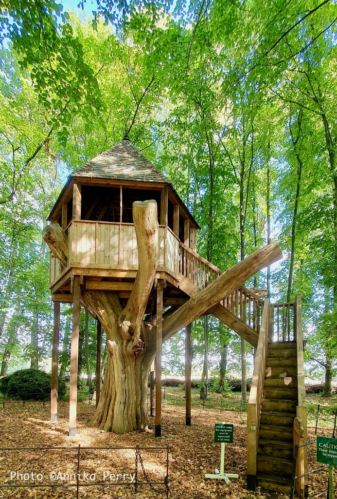 This image has an empty alt attribute; its file name is 20230914_115048.jpeg