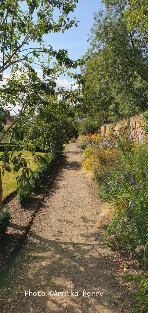 This image has an empty alt attribute; its file name is 20230914_120339-large-3.jpeg