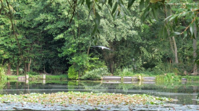 This image has an empty alt attribute; its file name is img_2767-large.jpeg